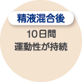 精液混合後：１０日間、運動性能が持続